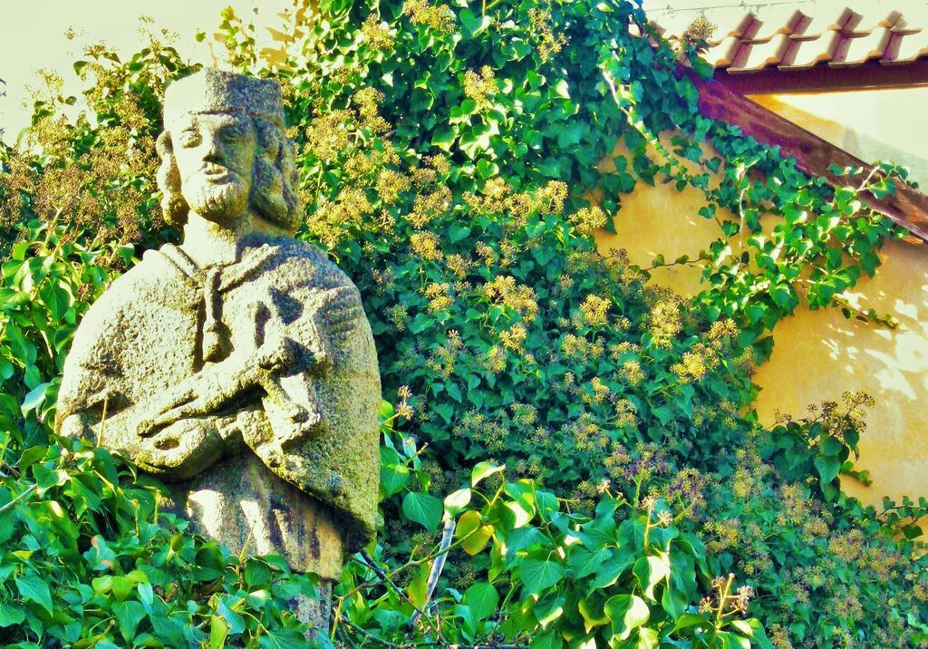 Garden Residence Prague Castle Ngoại thất bức ảnh