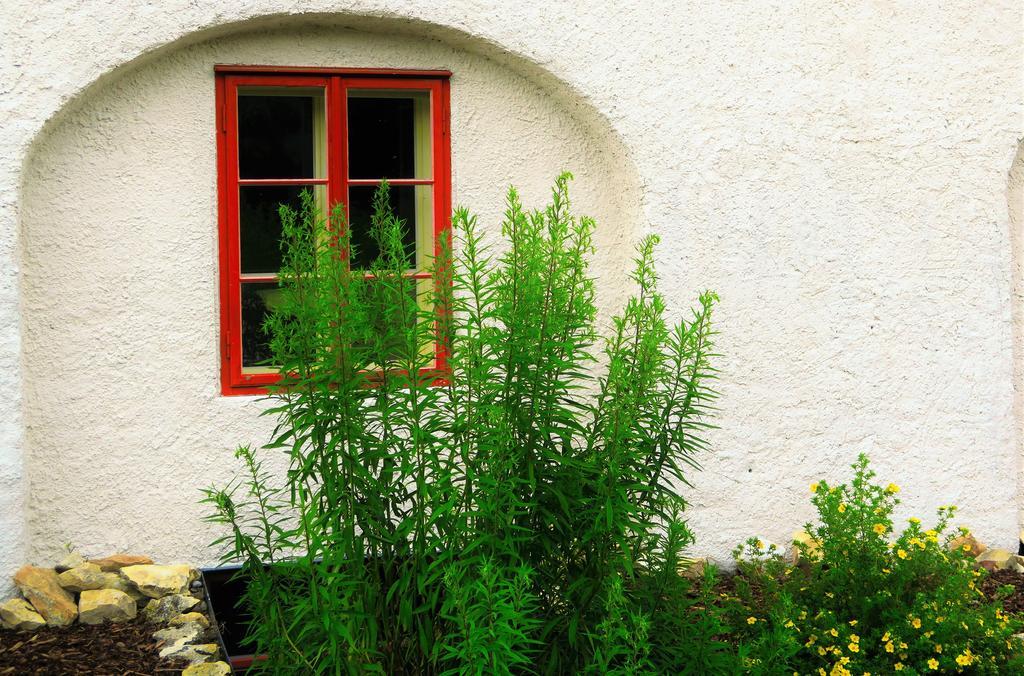 Garden Residence Prague Castle Ngoại thất bức ảnh